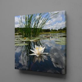 Technopa Akarsudaki Zambak 90x90 cm Kare Kanvas Tablo