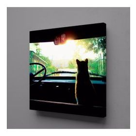 Technopa Arabada Kedi 120x120 cm Kare Kanvas Tablo