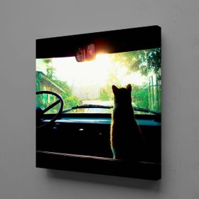 Technopa Arabada Kedi 50x50 cm Kare Kanvas Tablo