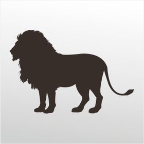 Technopa Aslan 80 cm Folyo Duvar Stickerı