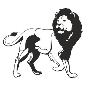 Technopa Aslan Lion 20 cm Folyo Duvar Stickerı
