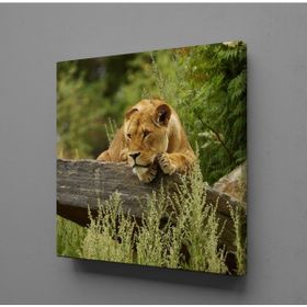 Technopa Aslan Mekanik 100x100 cm Kanvas Tablo