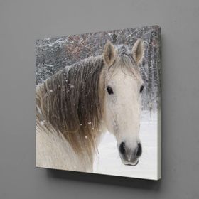 Technopa At 40x40 cm Kanvas Tablo