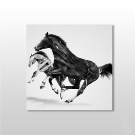 Technopa At Çift 130x130 cm Kanvas Tablo