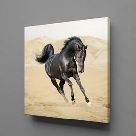 Technopa At Koşan 110x110 cm Kanvas Tablo