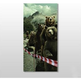Technopa Ayılar 20x30 cm Kanvas Tablo