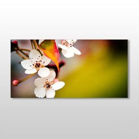 Technopa Bahar ve Çiçekler 120x60 cm Kanvas Tablo