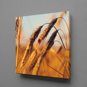 Technopa Başak Salkımı 25x25 cm Kanvas Tablo