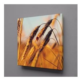 Technopa Başak Salkımı 30x30 cm Kanvas Tablo