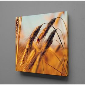 Technopa Başak Salkımı 40x40 cm Kanvas Tablo