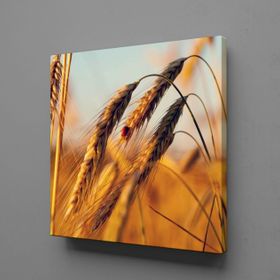 Technopa Başak Salkımı 90x90 cm Kanvas Tablo