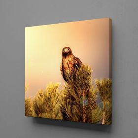 Technopa Baykuş 130x130 cm Kanvas Tablo