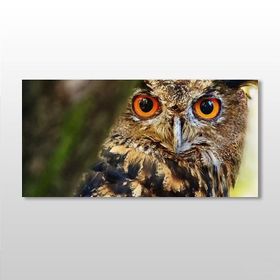 Technopa Baykuş 180x90 cm Kanvas Tablo