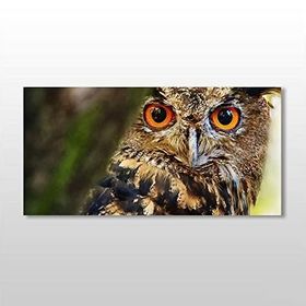 Technopa Baykuş 60x30 cm Kanvas Tablo