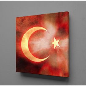 Technopa Bayrağın Işıldaması 70x70 cm Kanvas Tablo