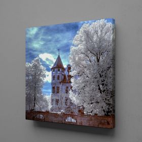 Technopa Beyaz Ağaçlar 70x70 cm Kanvas Tablo