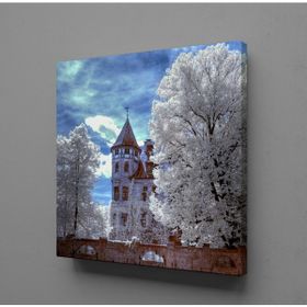Technopa Beyaz Ağaçlar 80x80 cm Kanvas Tablo