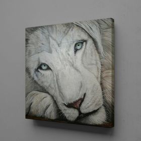 Technopa Beyaz Aslan 110x110 cm Kanvas Tablo