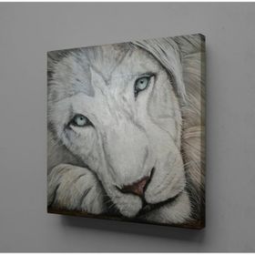 Technopa Beyaz Aslan 70x70 cm Kanvas Tablo