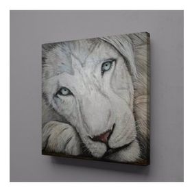 Technopa Beyaz Aslan 70x70 cm Kanvas Tablo