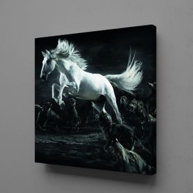 Technopa Beyaz At 100x100 cm Kanvas Tablo