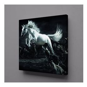 Technopa Beyaz At 30x30 cm Kanvas Tablo