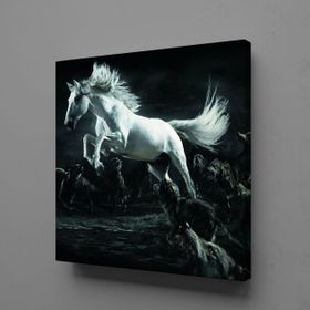 Technopa Beyaz At 40x40 cm Kanvas Tablo