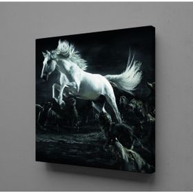 Technopa Beyaz At 70x70 cm Kanvas Tablo