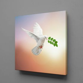 Technopa Beyaz Güvercin 120x120 cm Kanvas Tablo