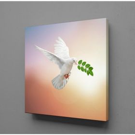 Technopa Beyaz Güvercin 70x70 cm Kanvas Tablo