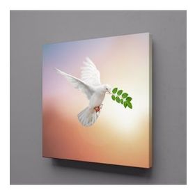 Technopa Beyaz Güvercin 70x70 cm Kanvas Tablo