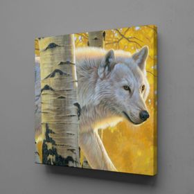 Technopa Beyaz Kurt 100x100 cm Kanvas Tablo