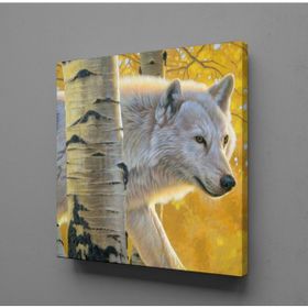 Technopa Beyaz Kurt 90x90 cm Kanvas Tablo