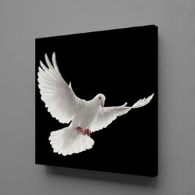 Technopa Beyaz Kuş 60x60 cm Kanvas Tablo