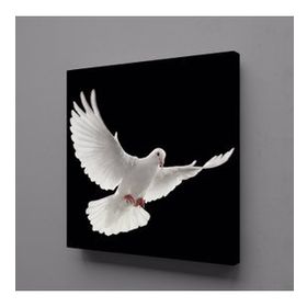 Technopa Beyaz Kuş 70x70 cm Kanvas Tablo