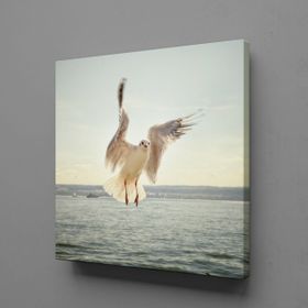 Technopa Beyaz Martı 110x110 cm Kanvas Tablo