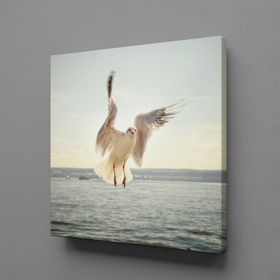 Technopa Beyaz Martı 70x70 cm Kanvas Tablo