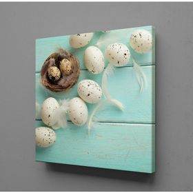 Technopa Bıldırcın Yumurtaları 110x110 cm Kanvas Tablo