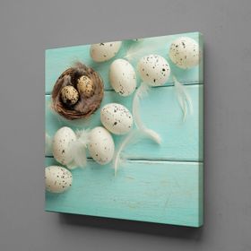 Technopa Bıldırcın Yumurtaları 110x110 cm Kanvas Tablo