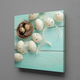 Technopa Bıldırcın Yumurtaları 80x80 cm Kanvas Tablo