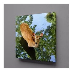 Technopa Ceylan 40x40 cm Kanvas Tablo