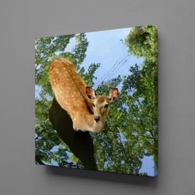 Technopa Ceylan 40x40 cm Kanvas Tablo