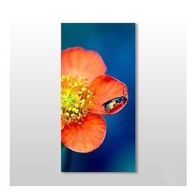Technopa Çiçekteki Böcek 60x90 cm Kanvas Tablo