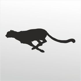 Technopa Çita 60 cm Folyo Duvar Stickerı