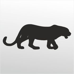 Technopa Çita 70 cm Folyo Duvar Stickerı
