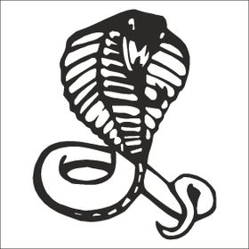 Technopa Cobra 100 cm Folyo Duvar Stickerı