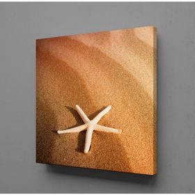 Technopa Deniz Yıldızı 110x110 cm Kanvas Tablo