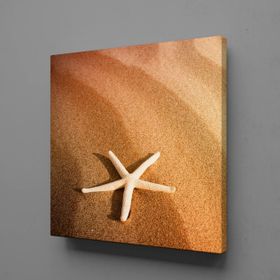 Technopa Deniz Yıldızı 80x80 cm Kanvas Tablo