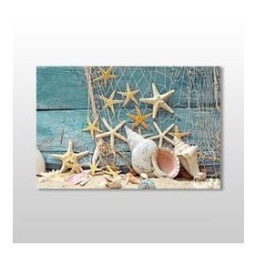 Technopa Deniz Yıldızı ve Deniz Kabuğu 45x30 cm Kanvas Tablo