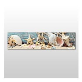 Technopa Deniz Yıldızı ve Deniz Kabuğu 90x30 cm Kanvas Tablo
